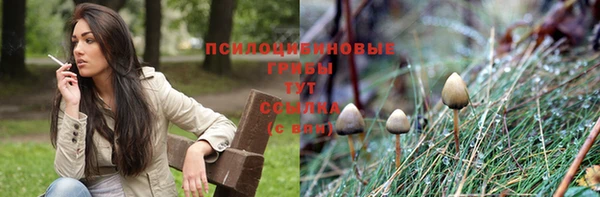 мяу мяу кристалл Надым