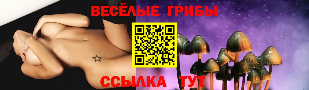 Галлюциногенные грибы Magic Shrooms Тюмень